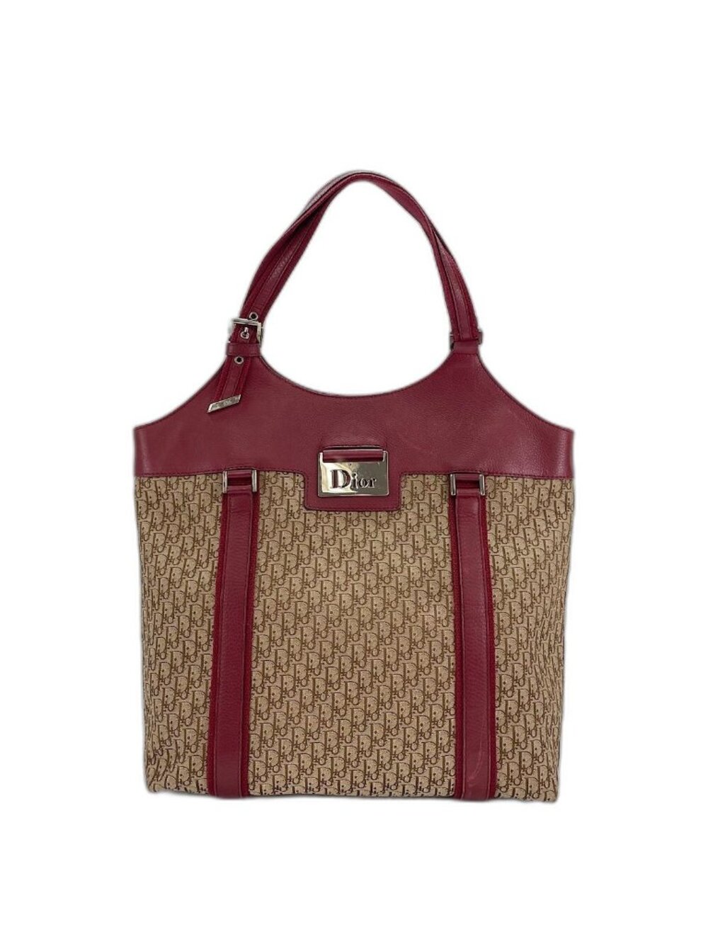 Dior Handbag Street Chic Trotter